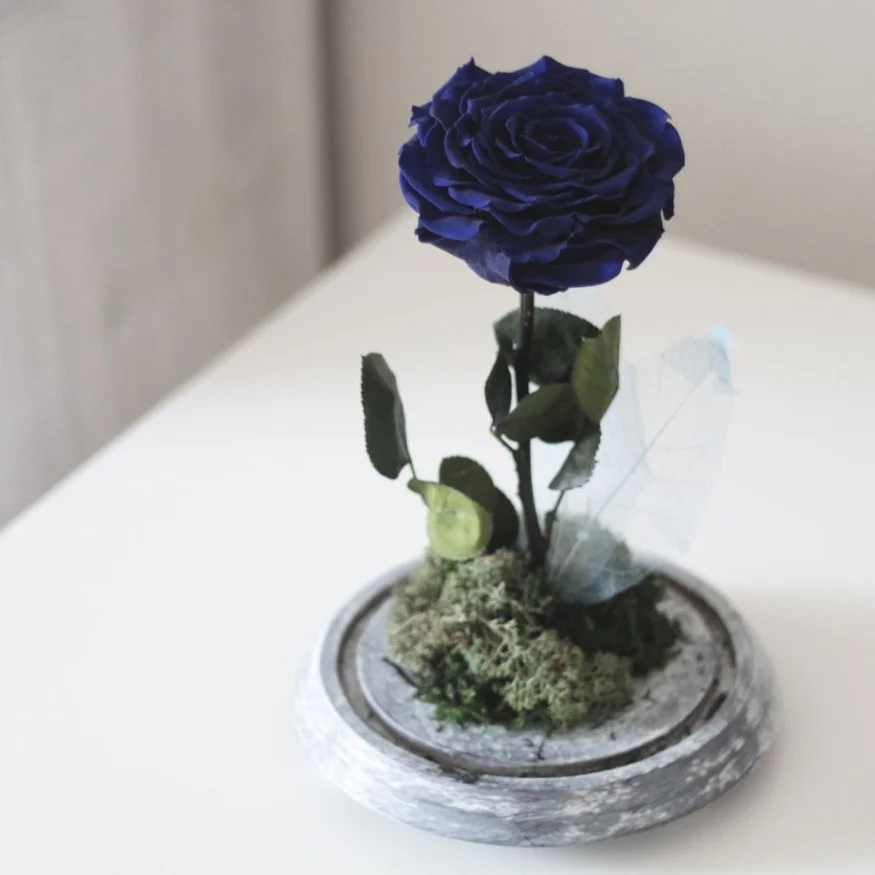 Rosa Joya Blue (Bella y Bestia)