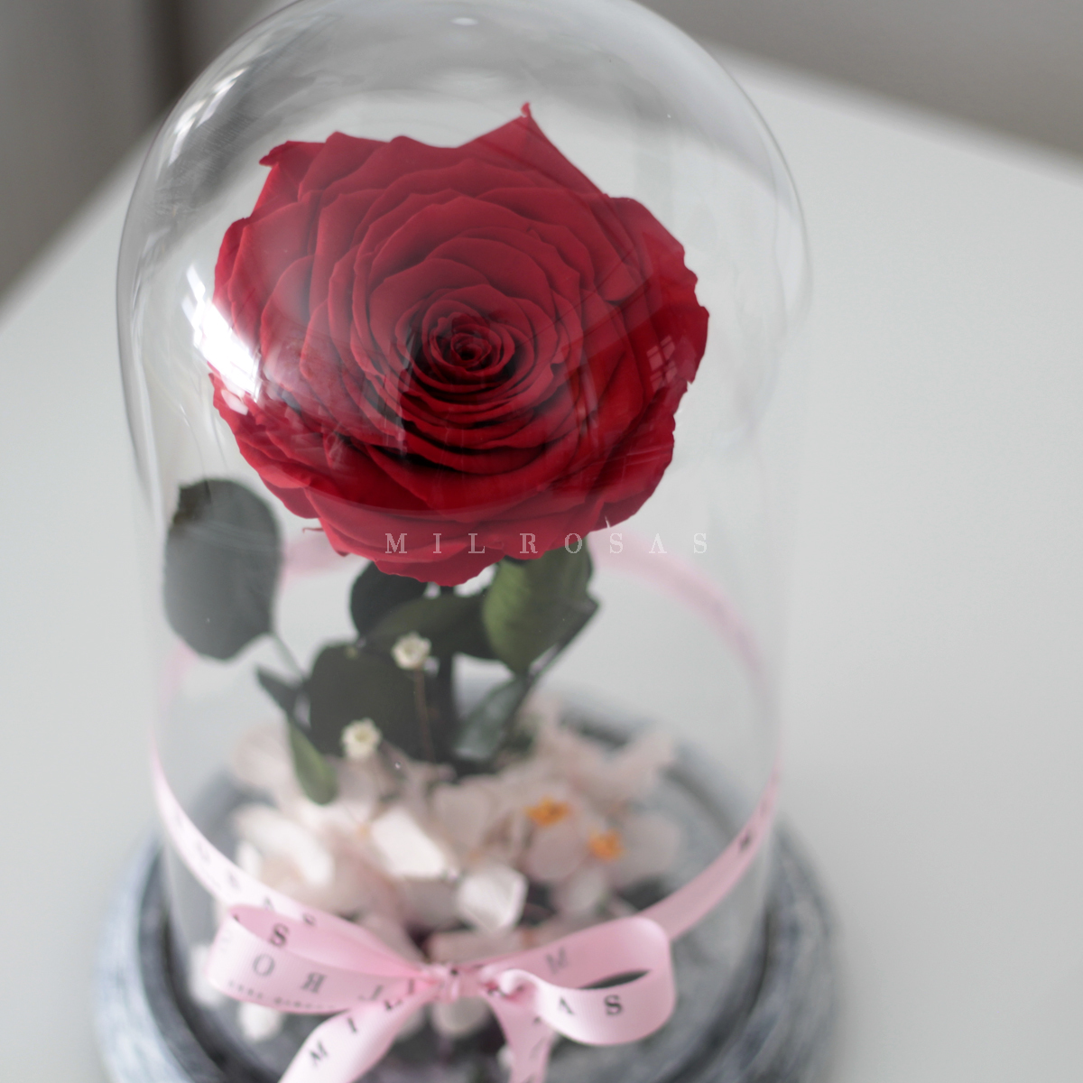 Este San Valentín haz un regalo de película, una rosa roja eterna, dentro  de una cúpula de cristal.